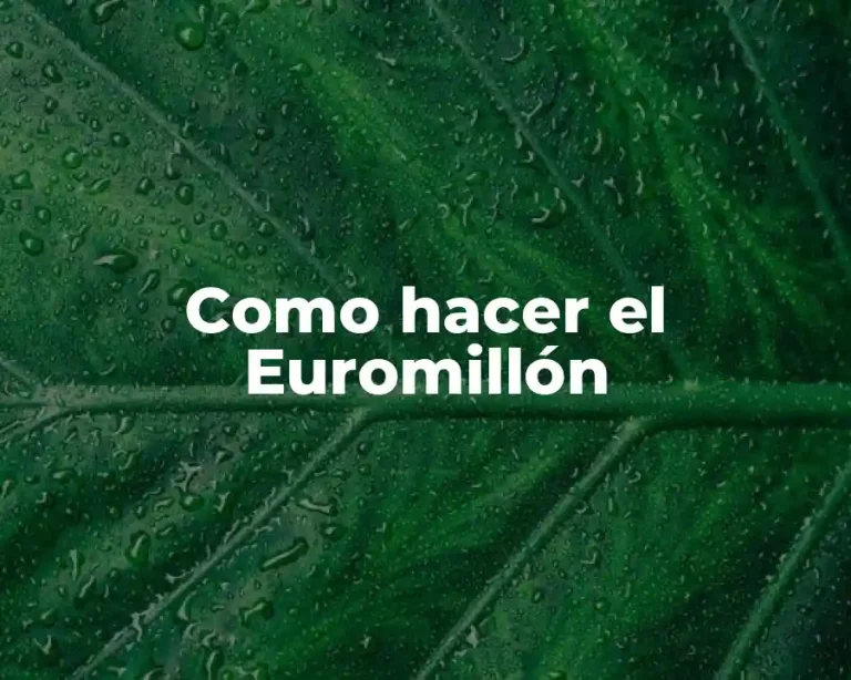 Como hacer el Euromillón