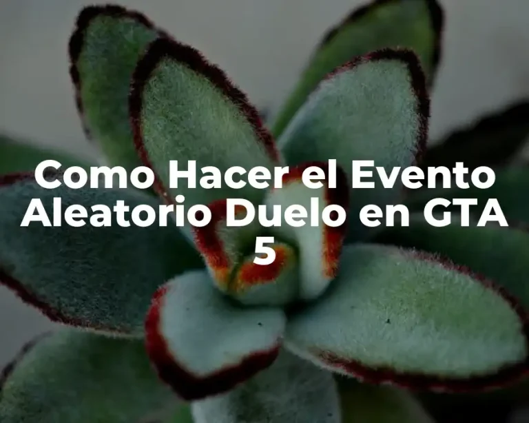 Como Hacer el Evento Aleatorio Duelo en GTA 5