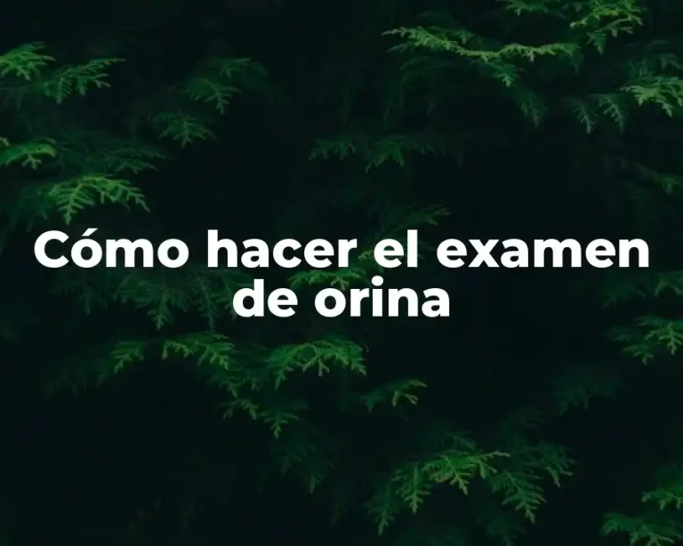 Cómo hacer el examen de orina