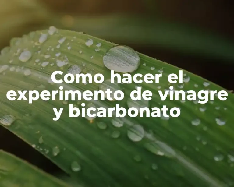 Como hacer el experimento de vinagre y bicarbonato