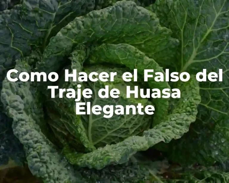 Como Hacer el Falso del Traje de Huasa Elegante