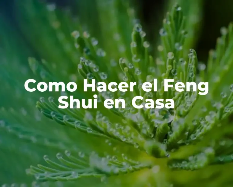 Como Hacer el Feng Shui en Casa