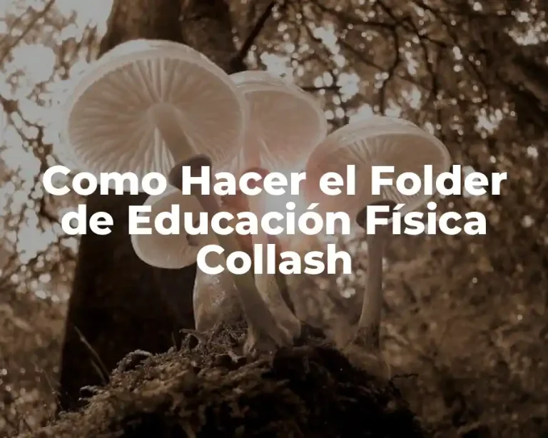 Como Hacer el Folder de Educación Física Collash