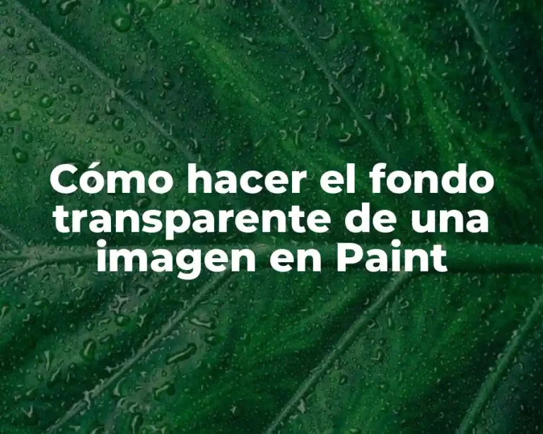 Cómo hacer el fondo transparente de una imagen en Paint
