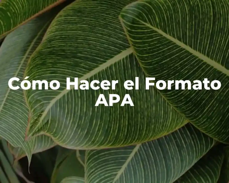 Cómo Hacer el Formato APA