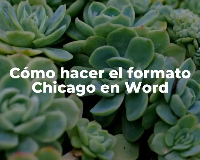 Cómo hacer el formato Chicago en Word