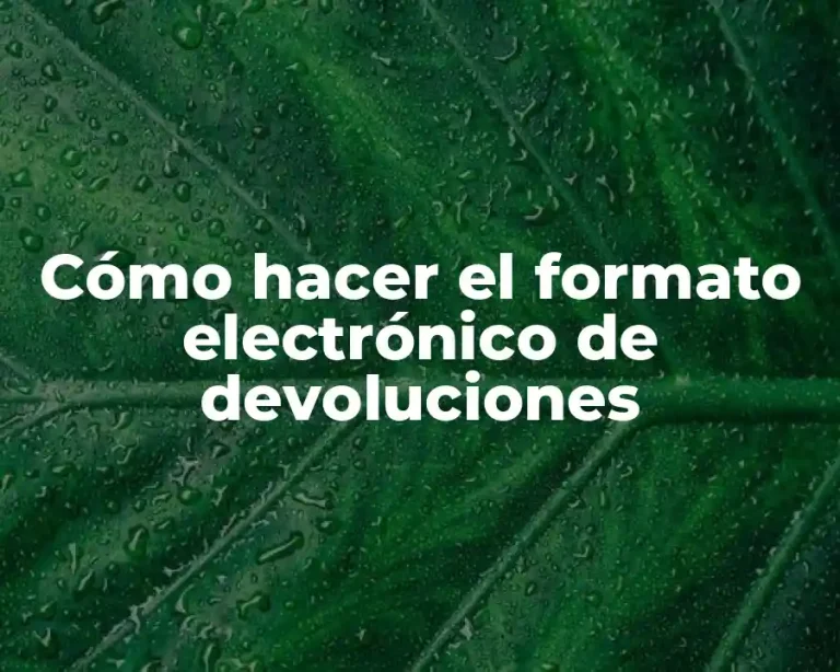 Cómo hacer el formato electrónico de devoluciones