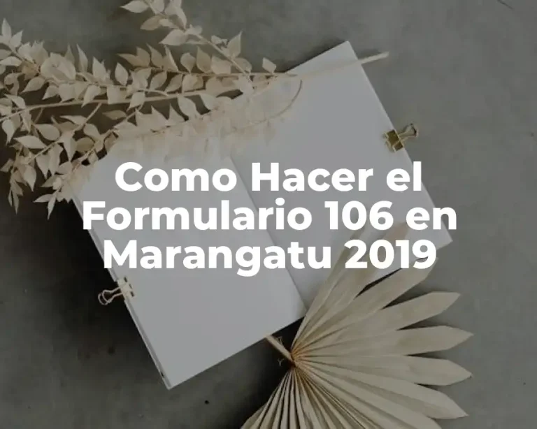 Como Hacer el Formulario 106 en Marangatu 2019
