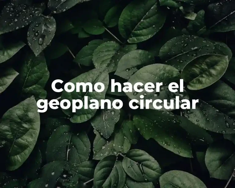Como hacer el geoplano circular