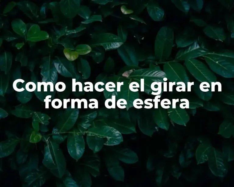Como hacer el girar en forma de esfera