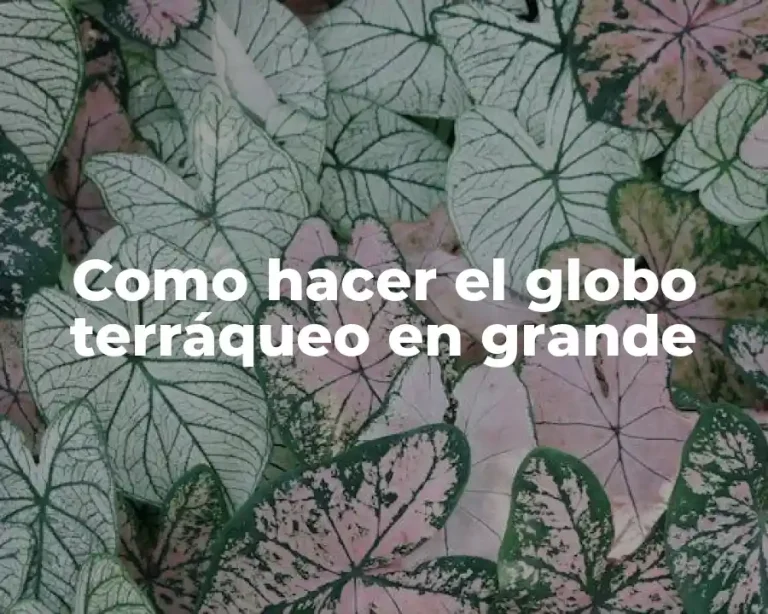 Como hacer el globo terráqueo en grande