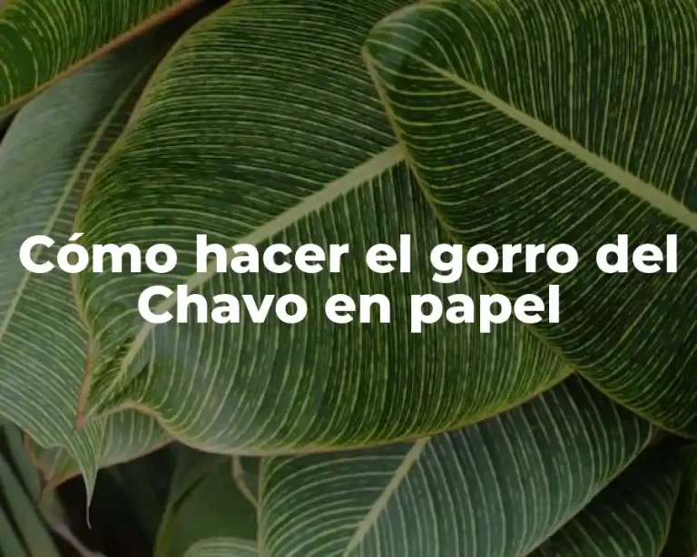 Cómo hacer el gorro del Chavo en papel