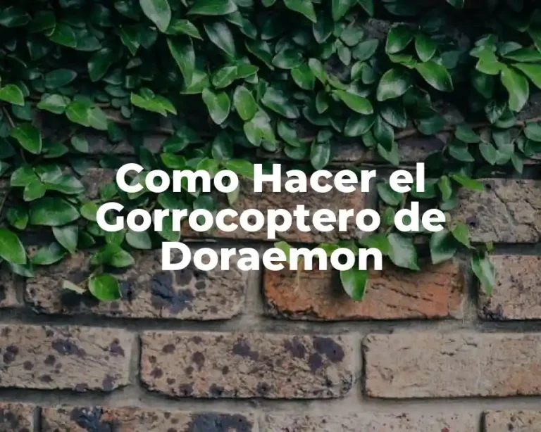 Como Hacer el Gorrocoptero de Doraemon