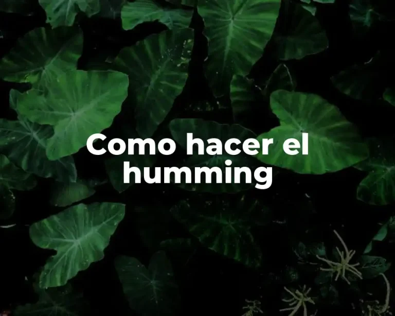 Como hacer el humming