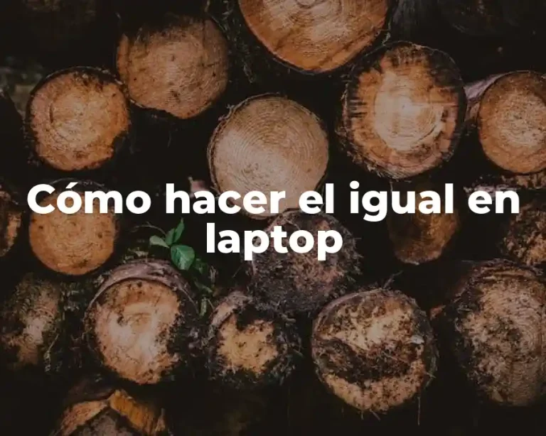 Cómo hacer el igual en laptop