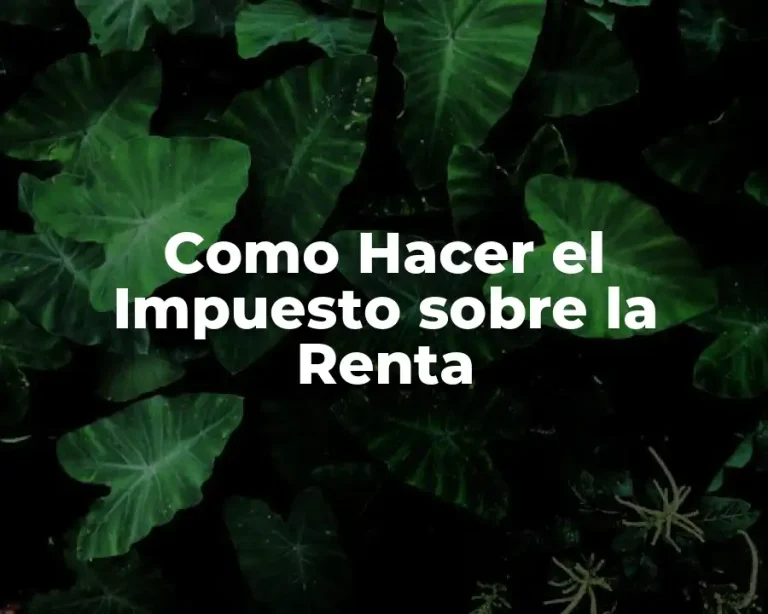 Como Hacer el Impuesto sobre la Renta