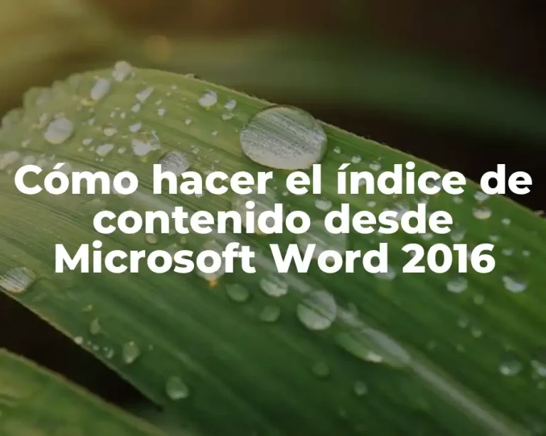 Cómo hacer el índice de contenido desde Microsoft Word 2016
