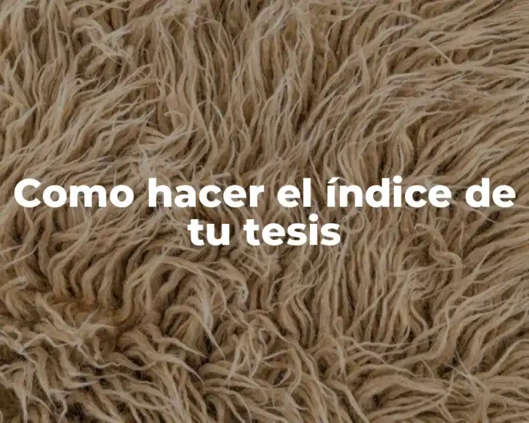 Como hacer el índice de tu tesis