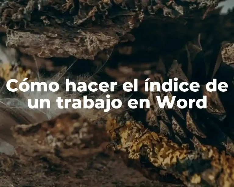 Cómo hacer el índice de un trabajo en Word