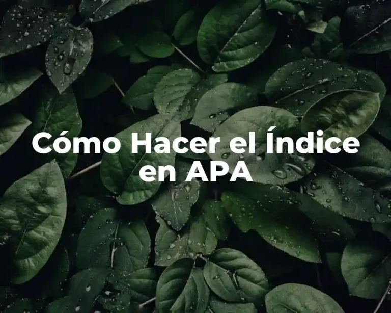 Cómo Hacer el Índice en APA