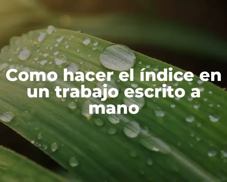 Como hacer el índice en un trabajo escrito a mano