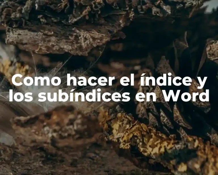 Como hacer el índice y los subíndices en Word