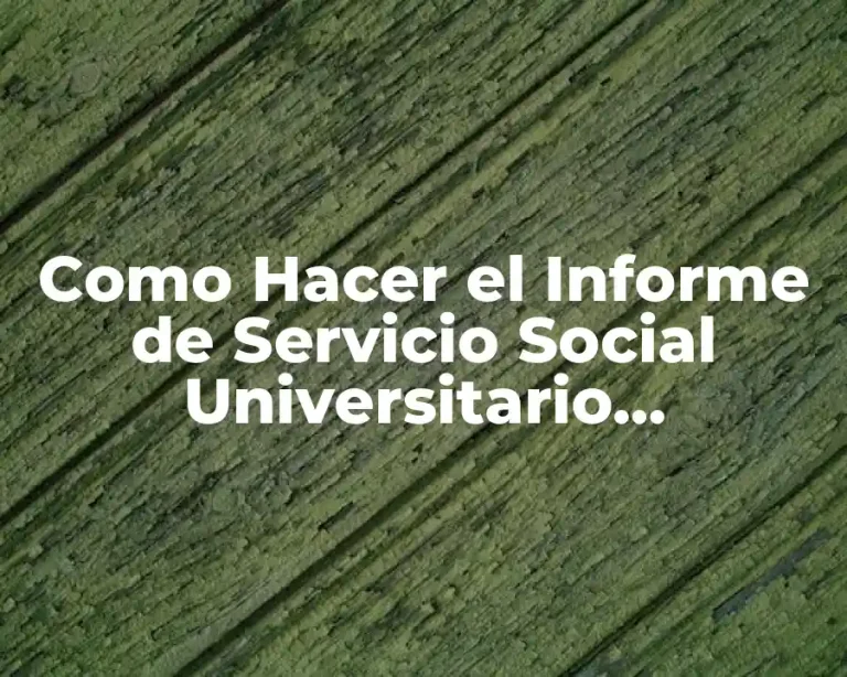 Como Hacer el Informe de Servicio Social Universitario Agropecuario