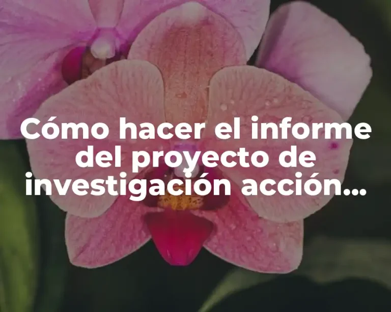 Cómo hacer el informe del proyecto de investigación acción participativa