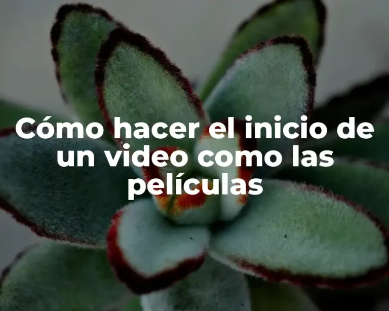 Cómo hacer el inicio de un video como las películas