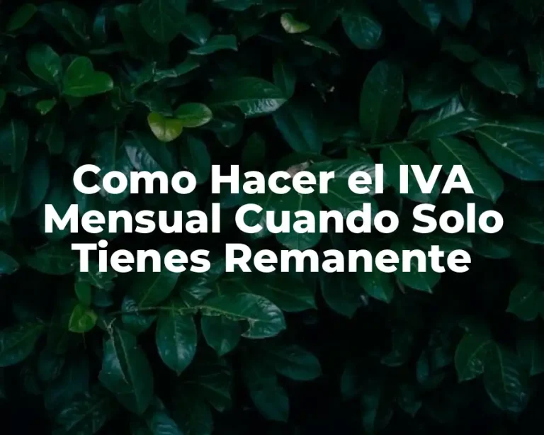 Como Hacer el IVA Mensual Cuando Solo Tienes Remanente