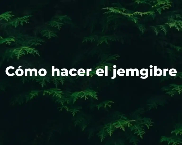 Cómo hacer el jemgibre