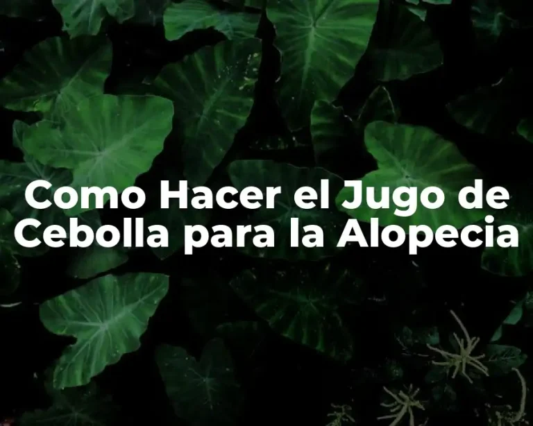 Como Hacer el Jugo de Cebolla para la Alopecia