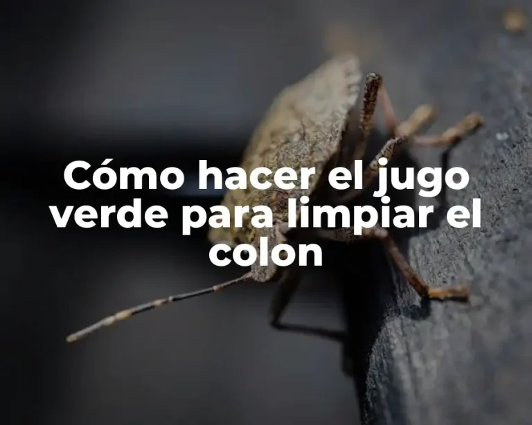 Cómo hacer el jugo verde para limpiar el colon