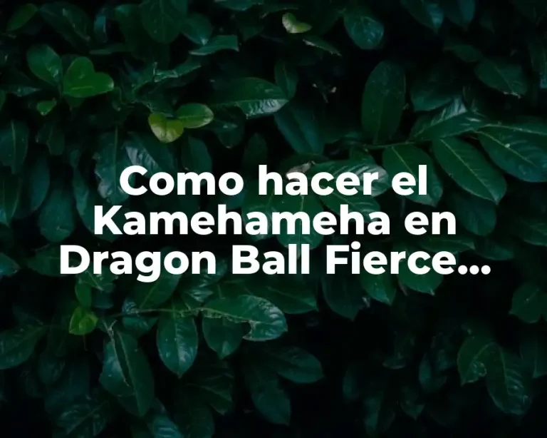 Como hacer el Kamehameha en Dragon Ball Fierce Fighting 2.5