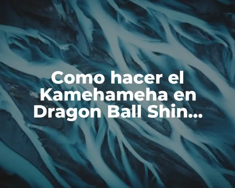 Como hacer el Kamehameha en Dragon Ball Shin Budokai