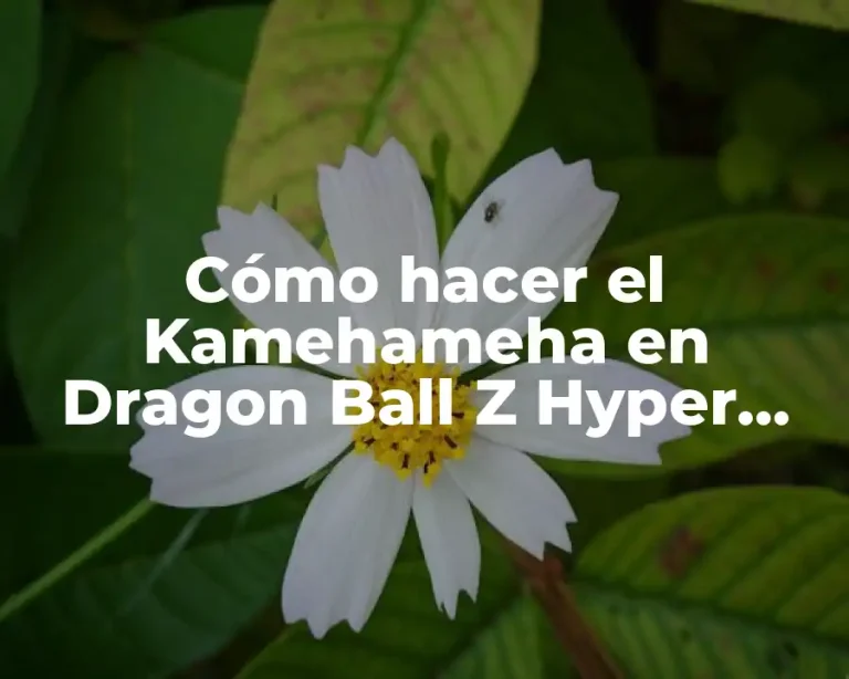 Cómo hacer el Kamehameha en Dragon Ball Z Hyper Dimension