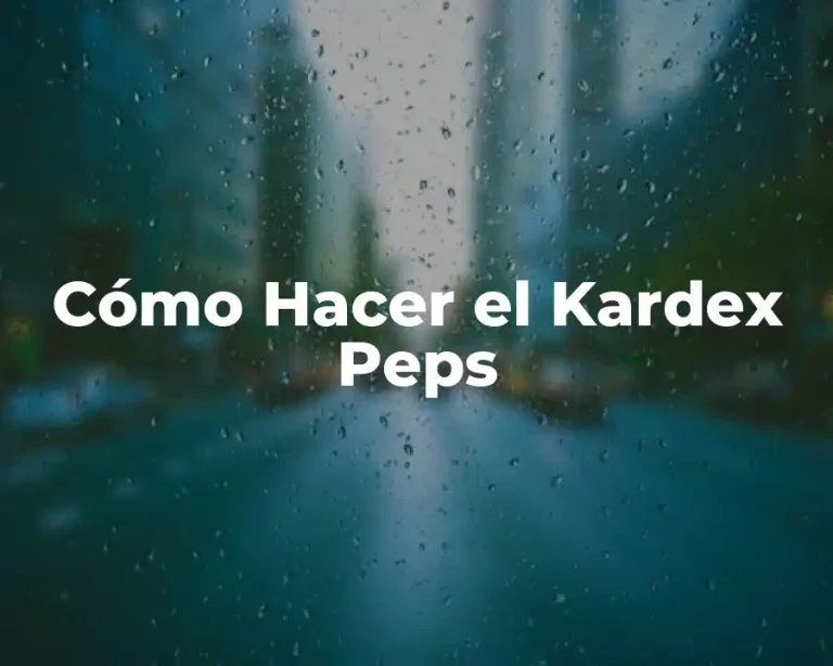 Cómo Hacer el Kardex Peps