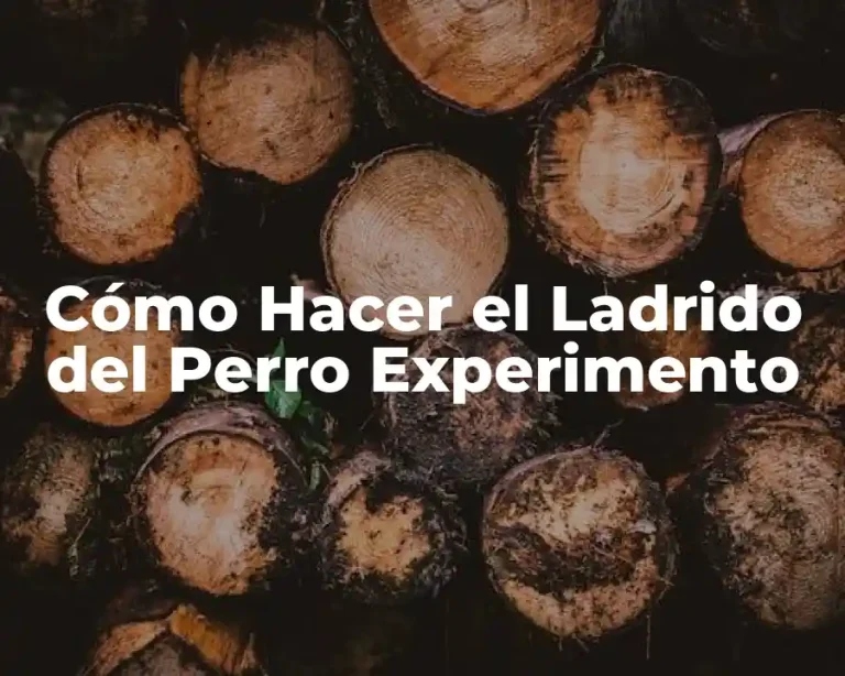 Cómo Hacer el Ladrido del Perro Experimento