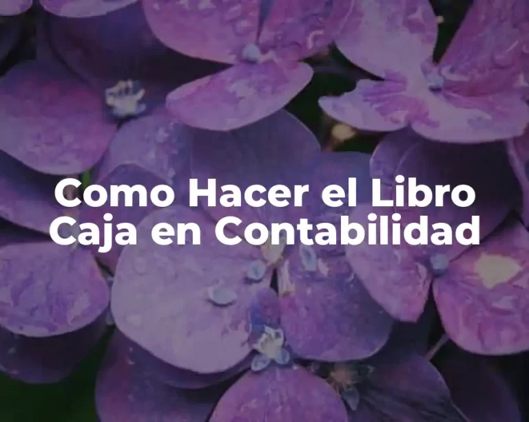 Como Hacer el Libro Caja en Contabilidad