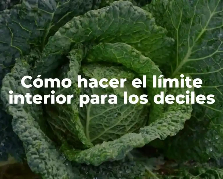 Cómo hacer el límite interior para los deciles