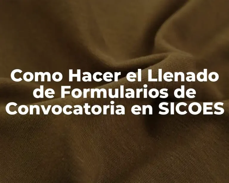 Como Hacer el Llenado de Formularios de Convocatoria en SICOES