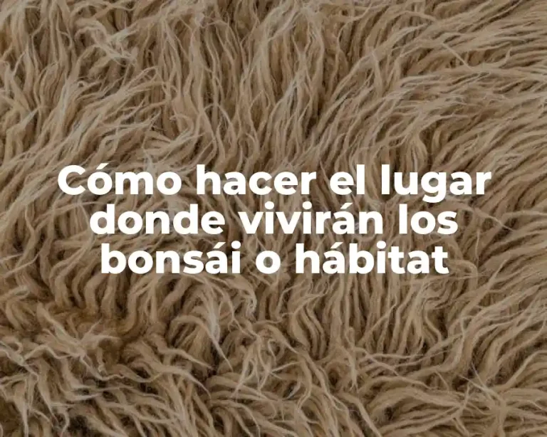 Cómo hacer el lugar donde vivirán los bonsái o hábitat
