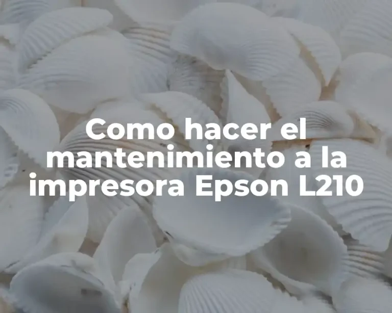 Como hacer el mantenimiento a la impresora Epson L210