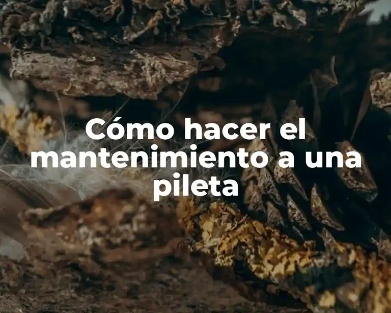 Cómo hacer el mantenimiento a una pileta