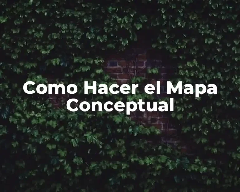 Como Hacer el Mapa Conceptual