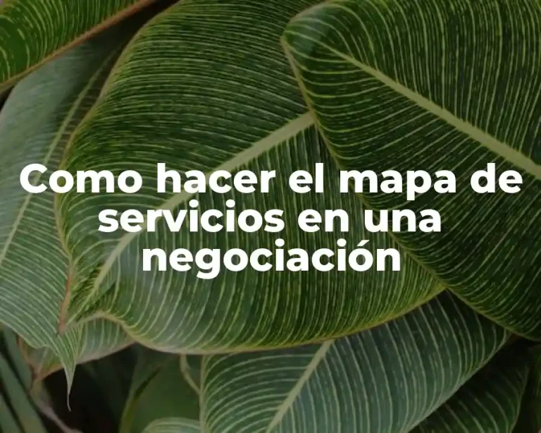 Como hacer el mapa de servicios en una negociación