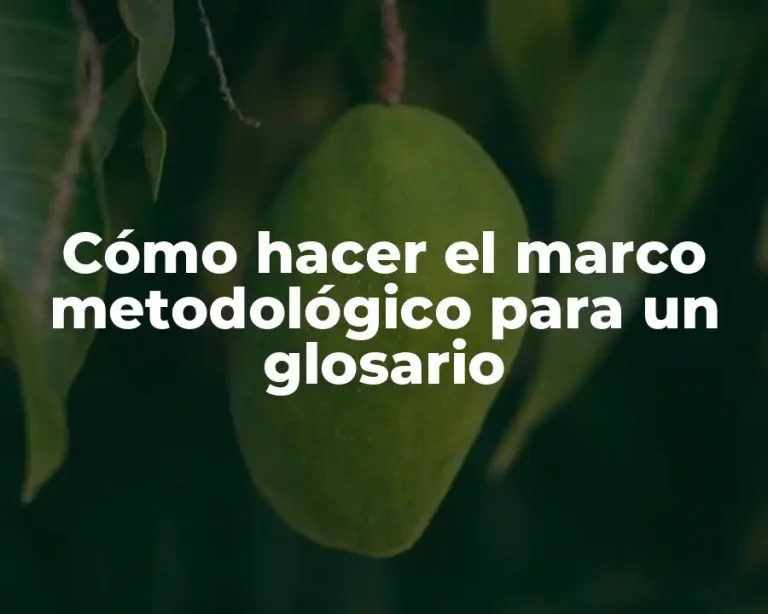 Cómo hacer el marco metodológico para un glosario