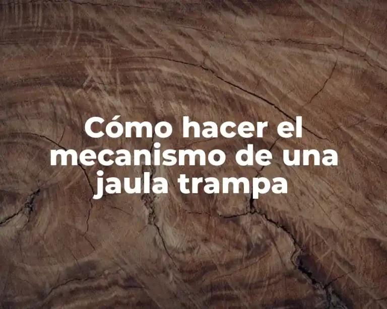 Cómo hacer el mecanismo de una jaula trampa