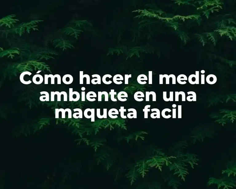 Cómo hacer el medio ambiente en una maqueta facil
