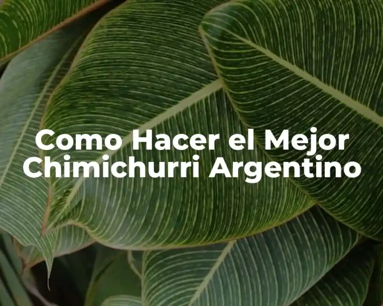 Como Hacer el Mejor Chimichurri Argentino